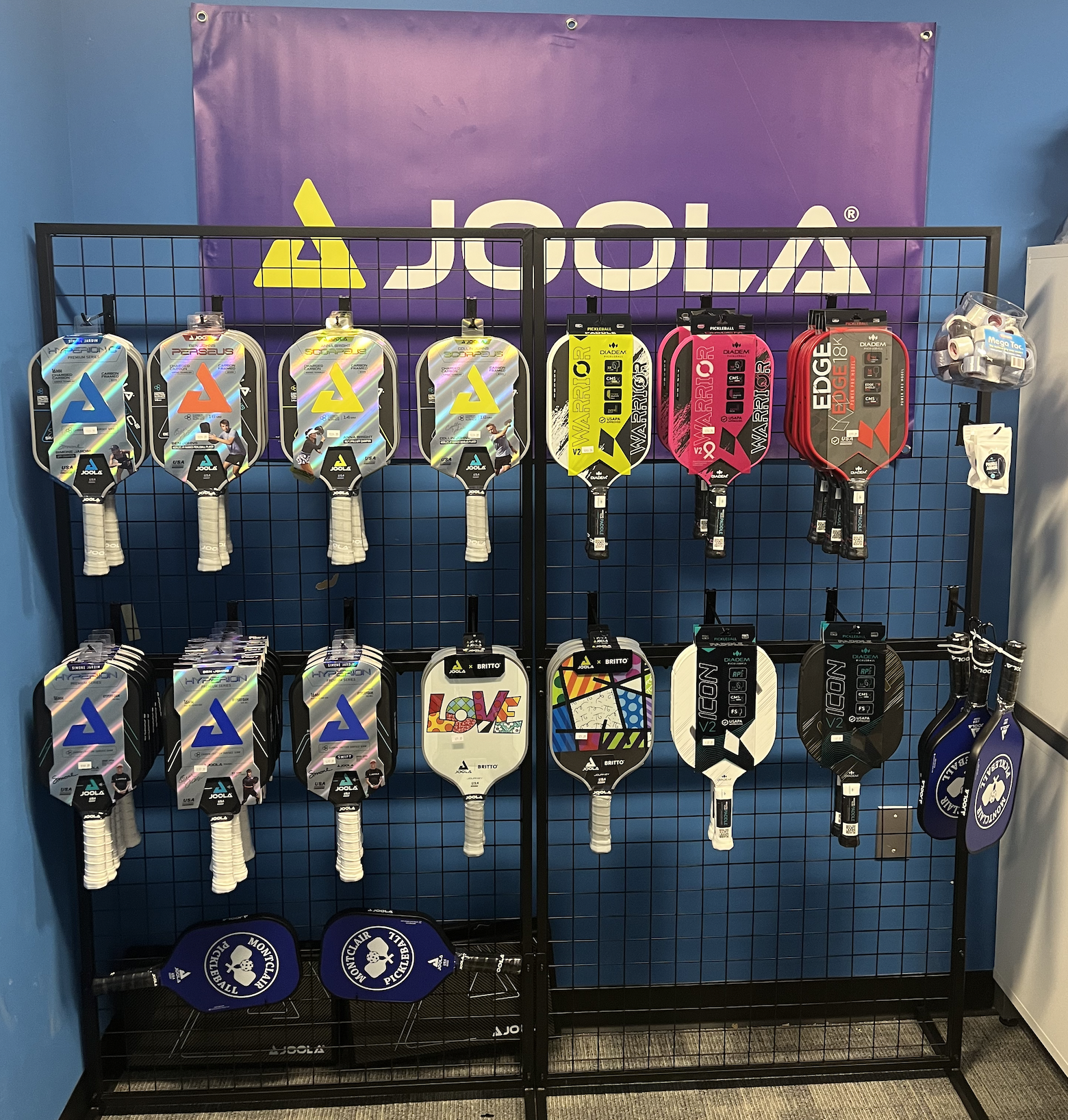 Pickleball in Whippany, NJ — Montclair Pickleball